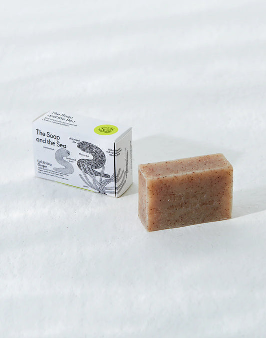 🇨🇭Seife von The Soap and The Sea - Peeling Ginger